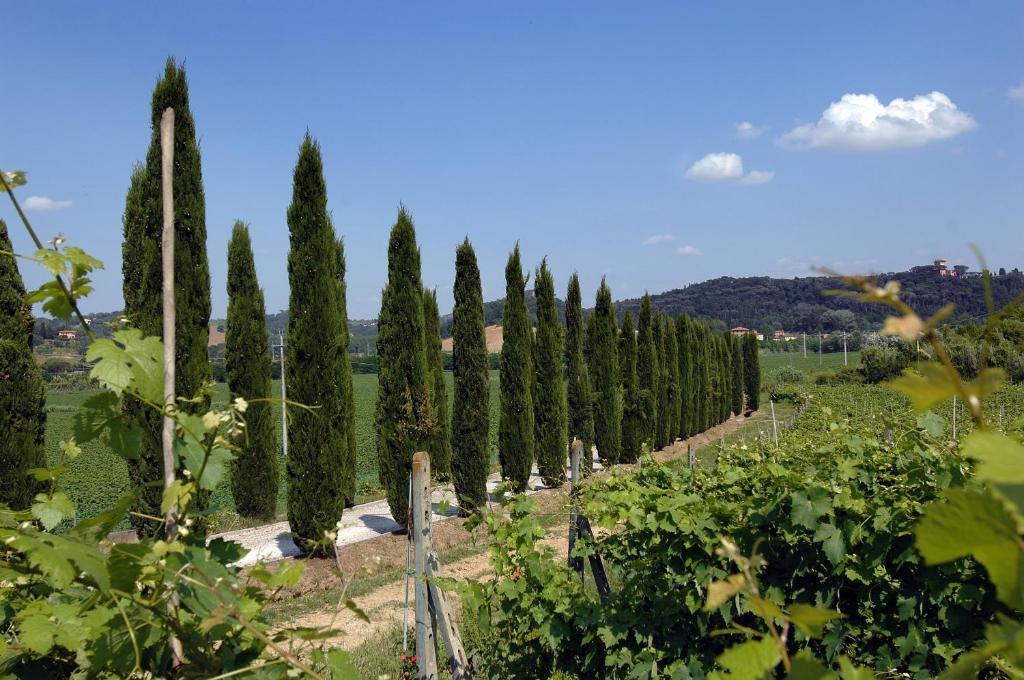 Agriturismo Buon Riposo - Country Resort In The Heart Of Tuscany San Giovanni a Corazzano Exterior foto